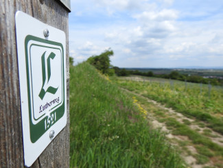 Lutherweg 1521 in Rheinhessen